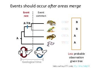C F E D
DNA Data
Substitution Model
Site Rate Model
Branch Rate Model
Morphological Data
Substitution Model
Site Rate Model
Branch Rate Model
Time Tree Model
Fossil Occurrence Time Data
0001010111001
0101111110114
0011100110005
1??010000????
???110211????
CATTATTCGCATTA
CATCATTCGAATCA
AATTATCCGAGTAA
??????????????
??????????????
Geological Time
(turtle tree image by M. Landis)
 