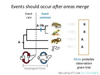 M M C C
0001010111001
0101111110114
0011100110005
1??010000????
???110211????
Geological Time
(turtle tree image by M. Landis)
 