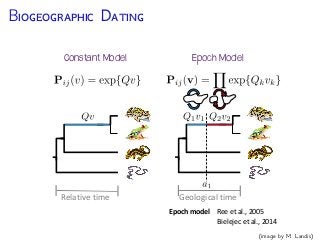 M M C C
The Lewis Mk model
Assumes a character can take
k states
Transition rates between
states are equal
Q =
2
6
6
6
4
1 k 1 ... 1
... 1 k ... 1
...
... ... ...
1 1 ... 1 k
3
7
7
7
5
0
0
1
2
2
1
1
2
2
2
2
2
2
2
1
1
1
1
1
1
1
T1
T2
T3
T4
T5
T6
T7
0
0
0
0
0
0
0
(Lewis. Systematic Biology 2001)
 