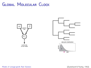 R -C M
To accommodate variation in substitution rates
‘relaxed-clock’ models estimate lineage-speciﬁc substitution
rates
• Local molecular clocks
• Punctuated rate change model
• Log-normally distributed autocorrelated rates
• Uncorrelated/independent rates models
• Mixture models on branch rates
 