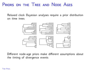 S B P
Node-age priors based on stochastic models of lineage
diversiﬁcation
Constant-rate birth-death
process: at any point in
time a lineage can speciate
at rate or go extinct with
a rate of
Tree Priors
 