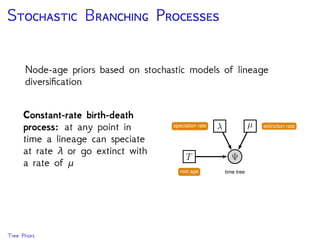 S B P
Node-age priors based on stochastic models of lineage
diversiﬁcation
Birth-death-sampling
process: an extension of
the constant-rate birth-death
model that accounts for
random sampling of tips
Conditions on a probability
of sampling a tip,
Tree Priors
 