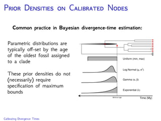 P D C N
Common practice in Bayesian divergence-time estimation:
Estimates of absolute node
ages are driven primarily by
the calibration density
Specifying appropriate
densities is a challenge for
most molecular biologists
Uniform (min, max)
Exponential (λ)
Gamma (α, β)
Log Normal (µ, σ2
)
Time (My)Minimum age
Calibration Density Approach
 