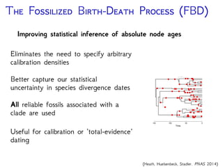 C F E D
Until recently, analyses combining fossil & extant taxa used
simple or inappropriate models to describe the tree and fossil
ages
DNA Data
Substitution Model
Site Rate Model
Branch Rate Model
Morphological Data
Substitution Model
Site Rate Model
Branch Rate Model
Time Tree Model
Fossil Occurrence Time Data
 
