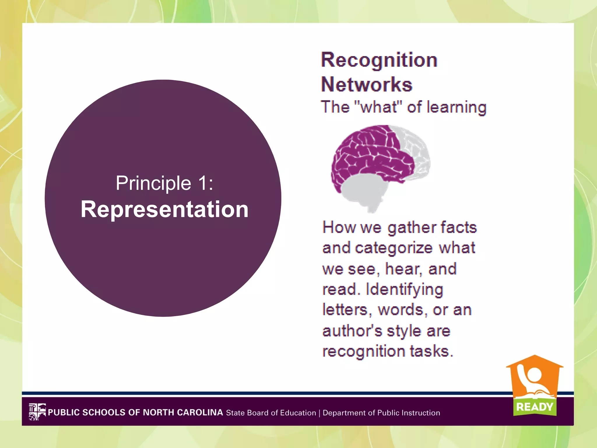 Principle 1:
Representation
 