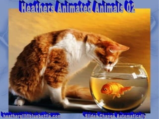 Heathers Animated Animals 02 [email_address] Slides Change Automatically 