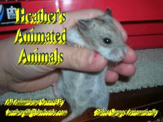 Heather's Animated Animals Slides Change Automatically [email_address] All Animations Created By 