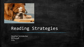 Reading Strategies
Heather Schidecker
RED4348
CA1
 
