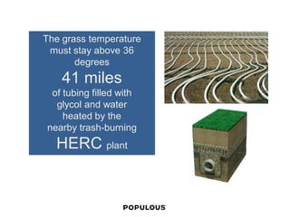 The grass temperature must stay above 36 degrees 
41 miles 
of tubing filled with 
glycol and water 
heated by the 
nearby trash-burning 
HERC plant  
