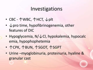 Investigations
• CBC - ↑WBC, ↑HCT, ↓plt
• ↓pro time, hypofibrinogenemia, other
features of DIC
• Hypoglycemia, N/↓Cl, hypokalemia, hypocalc
emia, hypophophetemia
• ↑CPK, ↑BUN, ↑SGOT, ↑SGPT
• Urine –myoglobinuria, proteinuria, hyaline &
granular cast
 