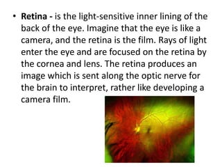 Cornea - The cornea is the transparent 
membrane which forms the outer coating at the 
front of the eyeball and covers the iris and pupil. 
It also focuses light on the retina. 
www.sciencephoto.com 
 