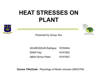 ADJIBOGOUN Rodrigue: 10704544
DIAW Faty: 10747923
ABAH Simon Peter: 10747927
HEAT STRESSES ON
PLANT
Presented by Group Two
Course Title/Code: Physiology of Abiotic stresses (WACI704)
 