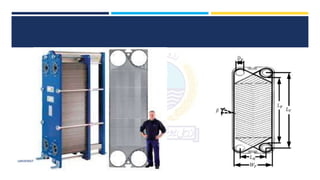 UNIVERSITY OF AGRICULTURE FAISALABAD – UAF
 