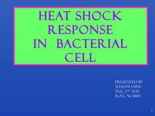 1
HEAT SHOCK
RESPONSE
IN BACTERIAL
CELL
HEAT SHOCK
RESPONSE
IN BACTERIAL
CELL
PRESENTED BY
SHALINI SAINI
M.Sc.2ND
SEM
ROLL NO.1810
 