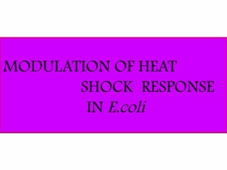 14
MODULATION OF HEAT
SHOCK RESPONSE
IN E.coli
MODULATION OF HEAT
SHOCK RESPONSE
IN E.coli
 