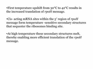 16
•First temperature upshift from 30°C to 42°C results in
the increased translation of rpoH message.
•Cis- acting mRNA sites within the 5′ region of rpoH
message form temperature -sensitive secondary structures
that sequester the ribosomes binding site.
•At high temperature these secondary structures melt,
thereby enabling more efficient translation of the rpoH
message.
 
