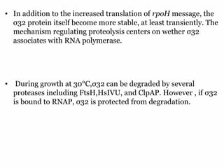 17
• In addition to the increased translation of rpoH message, the
σ32 protein itself become more stable, at least transiently. The
mechanism regulating proteolysis centers on wether σ32
associates with RNA polymerase.
• During growth at 30°C,σ32 can be degraded by several
proteases including FtsH,HsIVU, and ClpAP. However , if σ32
is bound to RNAP, σ32 is protected from degradation.
 