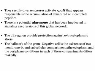 20
• They seemly diverse stresses activate rpoH that appears
responsible is the accumulation of denatured or incomplete
peptides.
• There is a potential alarmone that has been implicated in
signaling exepressions of this global network.
• The σE regulon provide protection against extracytoplasmic
stress.
• The hallmark of the gram- Negative cell is the existence of two
membrane-bound subcellular compartments:the cytoplasm and
the periplasm conditions in each of these compartments differs
makedly.
 