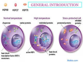 3
Molbio.com
GENERAL INTRODUCTION
 