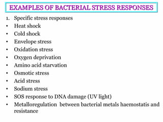 6
EXAMPLES OF BACTERIAL STRESS RESPONSESEXAMPLES OF BACTERIAL STRESS RESPONSES
1. Specific stress responses
• Heat shock
• Cold shock
• Envelope stress
• Oxidation stress
• Oxygen deprivation
• Amino acid starvation
• Osmotic stress
• Acid stress
• Sodium stress
• SOS response to DNA damage (UV light)
• Metalloregulation between bacterial metals haemostatis and
resistance
 