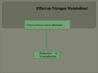 Reduction in
N metabolism
- Nitrate reductase activity decreases
 