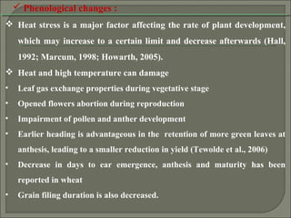  Phenological changes :
 Heat stress is a major factor affecting the rate of plant development,
which may increase to a certain limit and decrease afterwards (Hall,
1992; Marcum, 1998; Howarth, 2005).
 Heat and high temperature can damage
• Leaf gas exchange properties during vegetative stage
• Opened flowers abortion during reproduction
• Impairment of pollen and anther development
• Earlier heading is advantageous in the retention of more green leaves at
anthesis, leading to a smaller reduction in yield (Tewolde et al., 2006)
• Decrease in days to ear emergence, anthesis and maturity has been
reported in wheat
• Grain filing duration is also decreased.
 