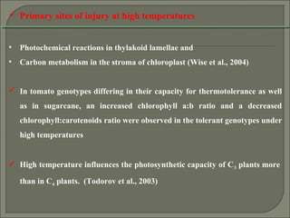  Primary sites of injury at high temperatures
• Photochemical reactions in thylakoid lamellae and
• Carbon metabolism in the stroma of chloroplast (Wise et al., 2004)
 In tomato genotypes differing in their capacity for thermotolerance as well
as in sugarcane, an increased chlorophyll a:b ratio and a decreased
chlorophyll:carotenoids ratio were observed in the tolerant genotypes under
high temperatures
 High temperature influences the photosynthetic capacity of C3 plants more
than in C4 plants. (Todorov et al., 2003)
 
