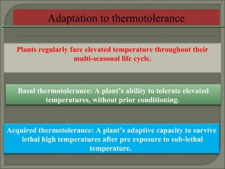 Plants regularly face elevated temperature throughout their
multi-seasonal life cycle.
Basal thermotolerance: A plant’s ability to tolerate elevated
temperatures, without prior conditioning.
Acquired thermotolerance: A plant’s adaptive capacity to survive
lethal high temperatures after pre exposure to sub-lethal
temperature.
Adaptation to thermotolerance
 