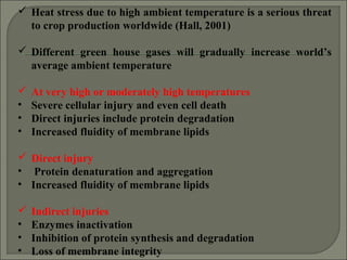  Heat stress due to high ambient temperature is a serious threat
to crop production worldwide (Hall, 2001)
 Different green house gases will gradually increase world’s
average ambient temperature
 At very high or moderately high temperatures
• Severe cellular injury and even cell death
• Direct injuries include protein degradation
• Increased fluidity of membrane lipids
 Direct injury
• Protein denaturation and aggregation
• Increased fluidity of membrane lipids
 Indirect injuries
• Enzymes inactivation
• Inhibition of protein synthesis and degradation
• Loss of membrane integrity
 