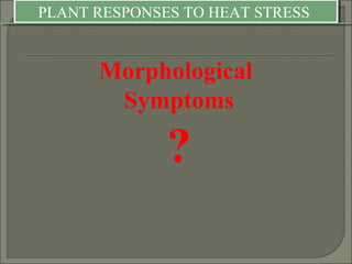 PLANT RESPONSES TO HEAT STRESSPLANT RESPONSES TO HEAT STRESS
Morphological
Symptoms
?
 