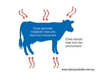 www.dairyaustralia.com.au
 