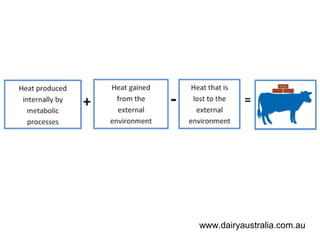 www.dairyaustralia.com.au
 