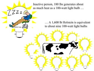 Inactive person, 180 lbs generates about
as much heat as a 100-watt light bulb …
… A 1,600 lb Holstein is equivalent
to about nine 100-watt light bulbs
 