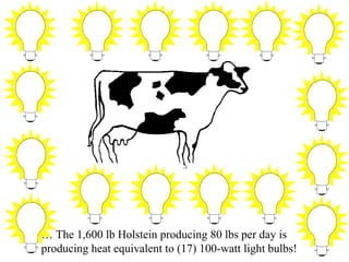 … The 1,600 lb Holstein producing 80 lbs per day is
producing heat equivalent to (17) 100-watt light bulbs!
 