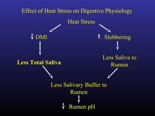 Effect of Heat Stress on Digestive Physiology
DMI
Less Total Saliva
Slobbering
Less Saliva to
Rumen
Less Salivary Buffer to
Rumen
Heat Stress
Rumen pH
 