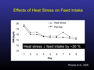 10
12
14
16
18
20
1 2 3 4 5 6 7 8 9
Day
DMI(kg/d)
Heat Stress
Underfed
Effects of Heat Stress on Feed Intake
Rhoads et al., 2009
Heat stress ↓ feed intake by ~30 %
Heat stress
Pair-fed
 