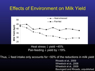 20
25
30
35
40
45
50
0 1 2 3 4 5 6 7 8 9
Day
MilkYield(kg/d)
Heat-stressed
Pair-fed
Effects of Environment on Milk Yield
Rhoads et al., 2009
Wheelock et al., 2008
Wheelock et al., 2009
Baumgard and Rhoads, unpublished
Heat stress ↓ yield ~45%
Pair-feeding ↓ yield by ~19%
Thus, ↓ feed intake only accounts for ~50% of the reductions in milk yield
 