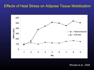 0
100
200
300
400
500
600
1 2 3 4 5 6 7 8 9
Day
NEFA(uEq/l)
Heat-stressed
Pair-fed
Effects of Heat Stress on Adipose Tissue Mobilization
Rhoads et al., 2009
 