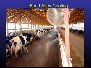 Feed Alley Cooling
 