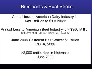 Decrease in production (milk and growth)
Reduced body condition
Acute and chronic health problems
Decreased reproductive indices
Abortions
Animal death
Possibly the most costly
issue affecting global animal
agriculture
Ruminants & Heat Stress
rumen acidosis & laminitis
Annual loss to American Dairy Industry is:
$897 million to $1.5 billion
Annual Loss to American Beef Industry is > $350 Million
St-Pierre et al., 2003 J. Dairy Sci. E52-E77
June 2006 California Heat Wave: $1 Billion
CDFA, 2006
>2,000 cattle died in Nebraska
June 2009
 
