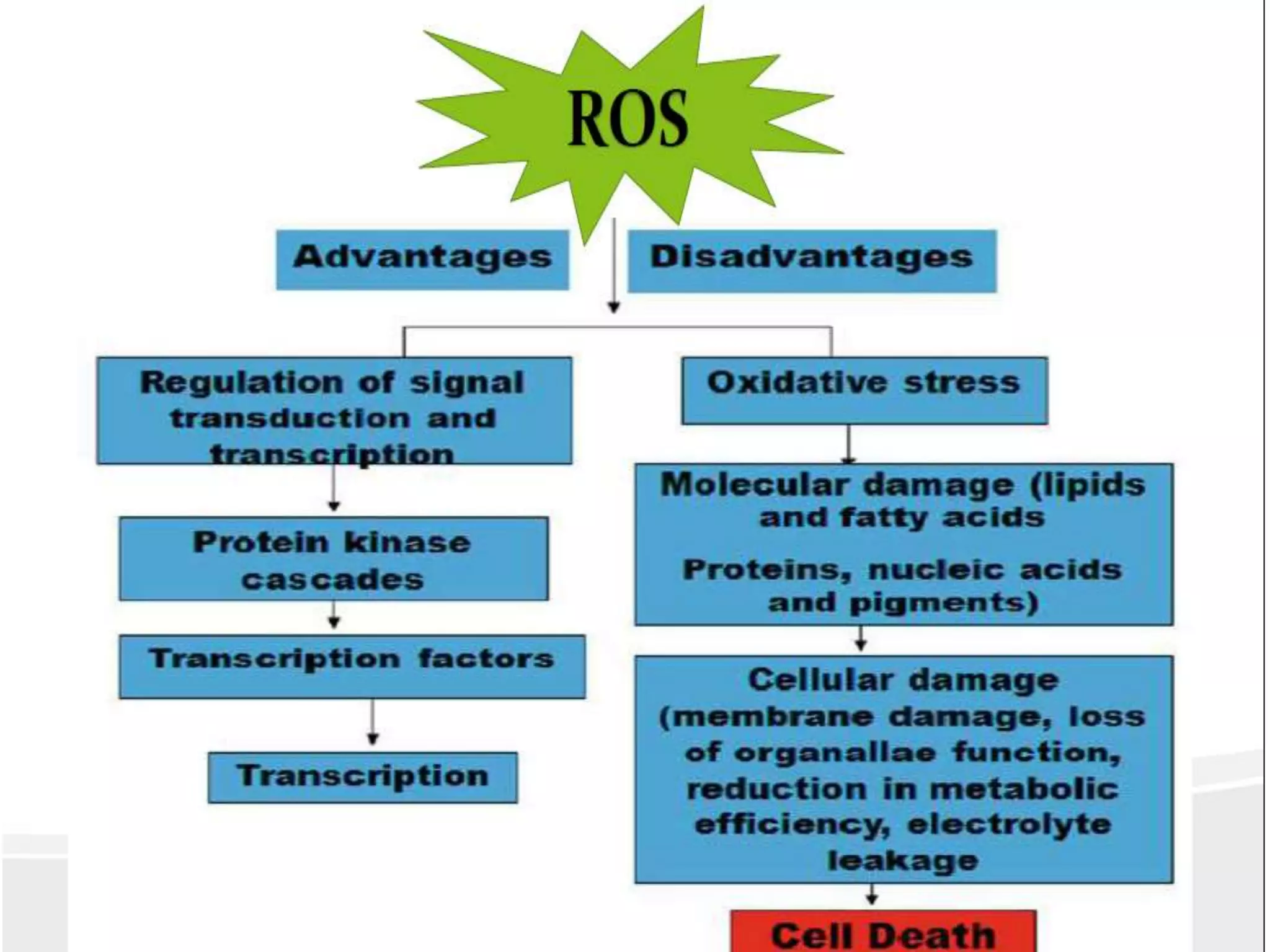 Mechanism of heat stress response in plants | PPTX