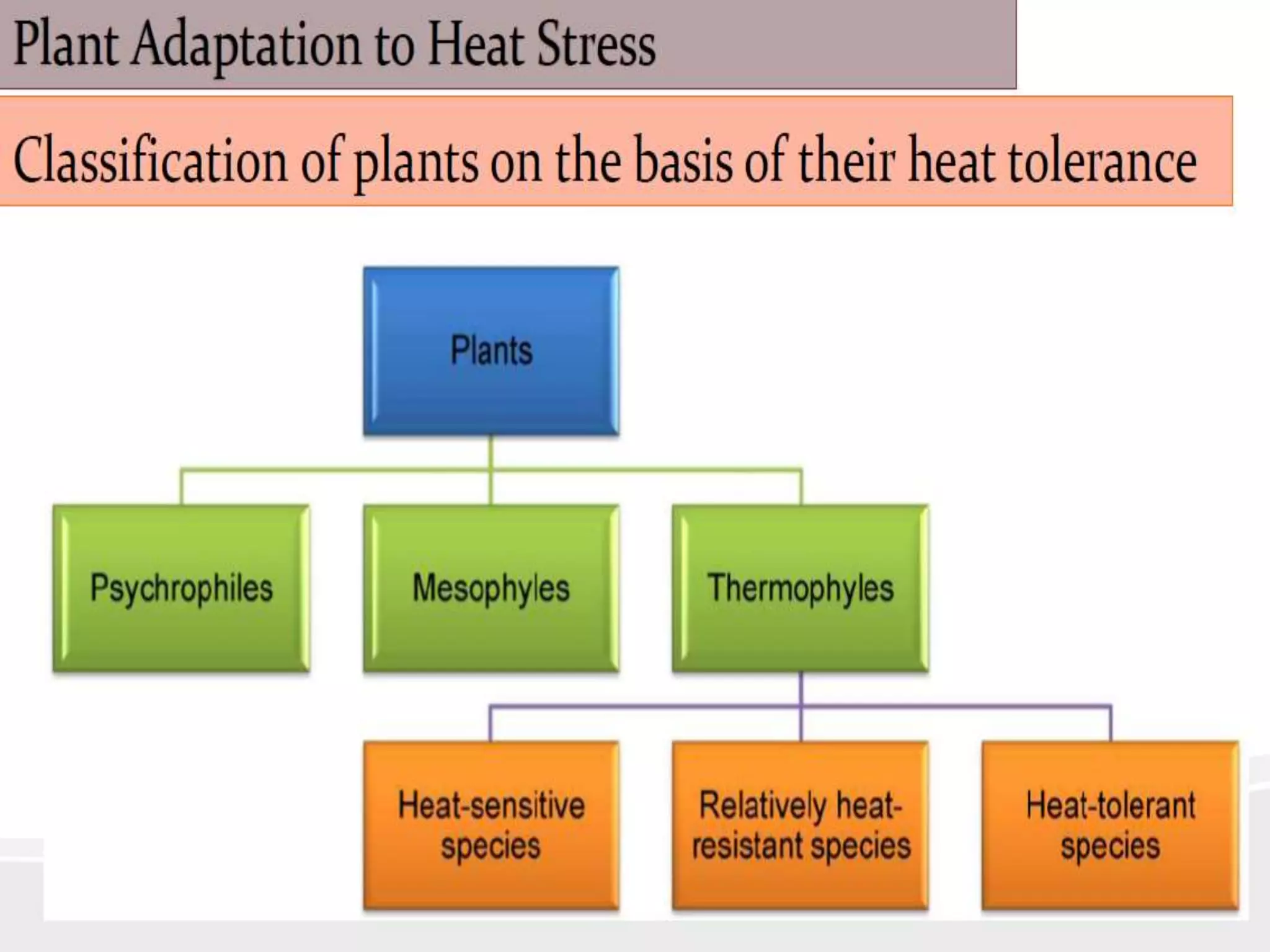 Mechanism of heat stress response in plants | PPTX