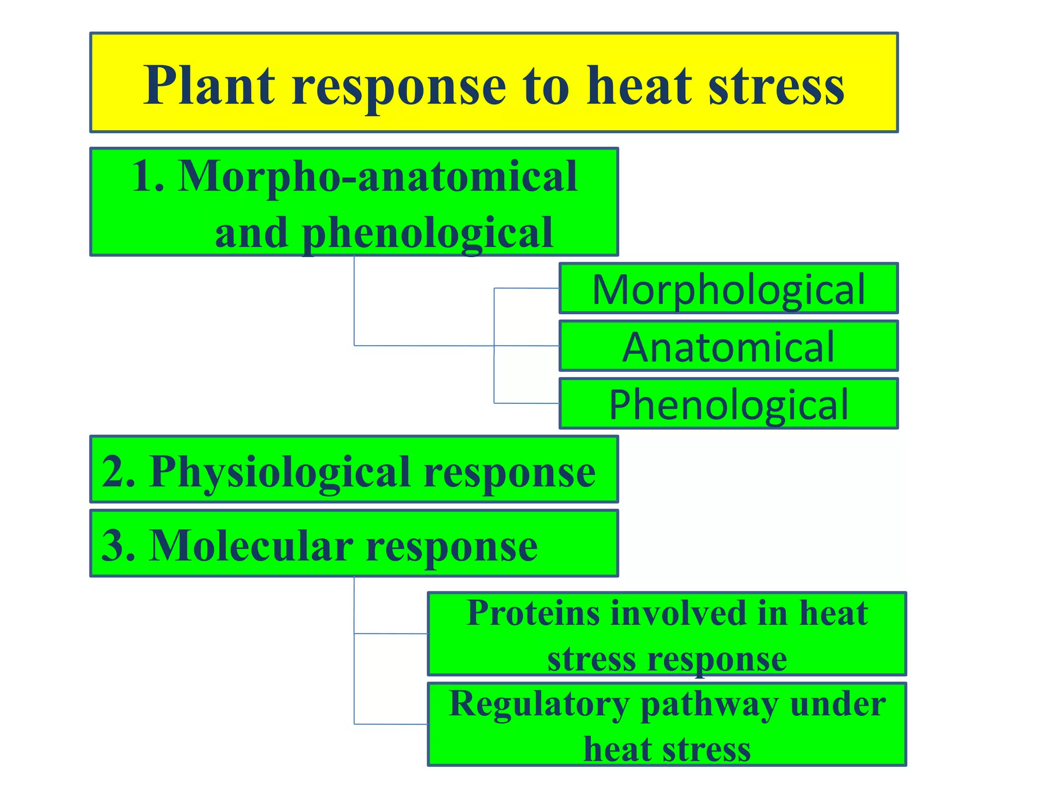 Mechanism of heat stress response in plants | PPTX