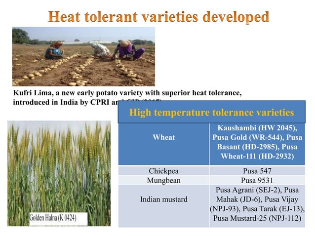 Mechanism of heat stress response in plants | PPTX | Gardening | Home ...