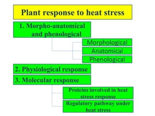 Mechanism of heat stress response in plants | PPTX
