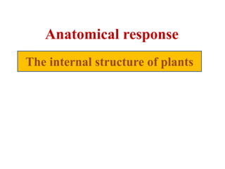 Mechanism of heat stress response in plants | PPTX