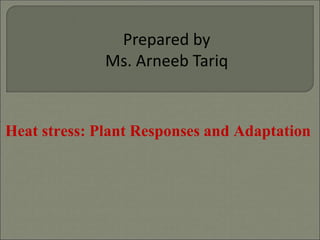 Heat stress: Plant Responses and Adaptation
Prepared by
Ms. Arneeb Tariq
 