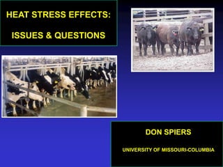 HEAT STRESS EFFECTS:

 ISSUES & QUESTIONS




                              DON SPIERS

                       UNIVERSITY OF MISSOURI-COLUMBIA
 