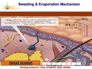 ©2017 Abu Dhabi Company for Onshore Petroleum Operations Ltd. (ADCO). All rights reserved. ADCO Security 4 - Internal Confidential.
Sweat
SWEAT GLANDS
37˚C
 