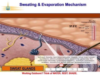 ©2017 Abu Dhabi Company for Onshore Petroleum Operations Ltd. (ADCO). All rights reserved. ADCO Security 4 - Internal Confidential.
SWEAT GLANDS
37.5˚C
 
